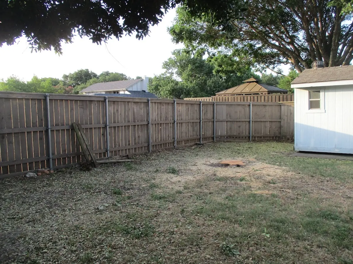 Cleared yard after professional tree removal in Parish